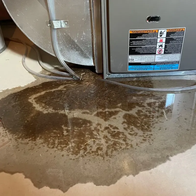 Pipe Burst and Leak Restoration in West Boylston, MA